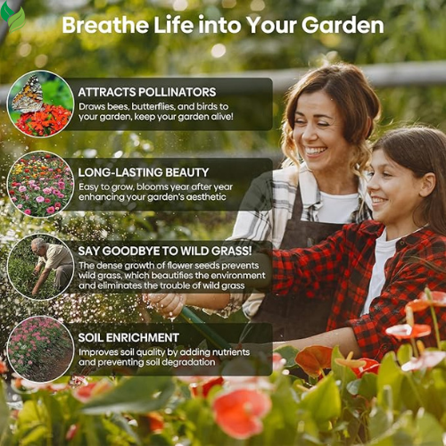 Bird & Butterfly Wildflower Mixed Seeds for Planting, Seeds to Plant Outsides
