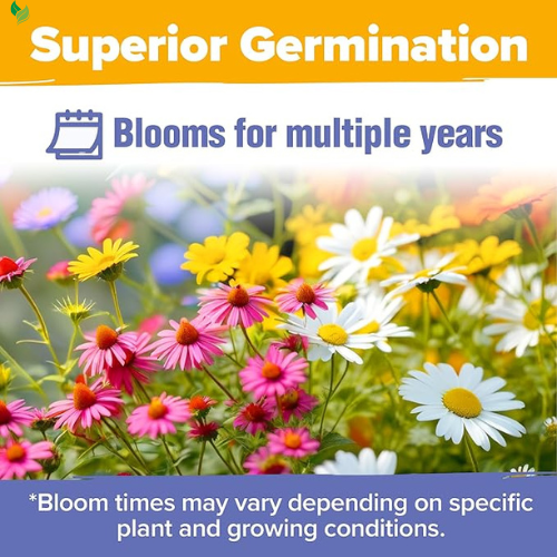Bird & Butterfly Wildflower Mixed Seeds for Planting, Seeds to Plant Outsides
