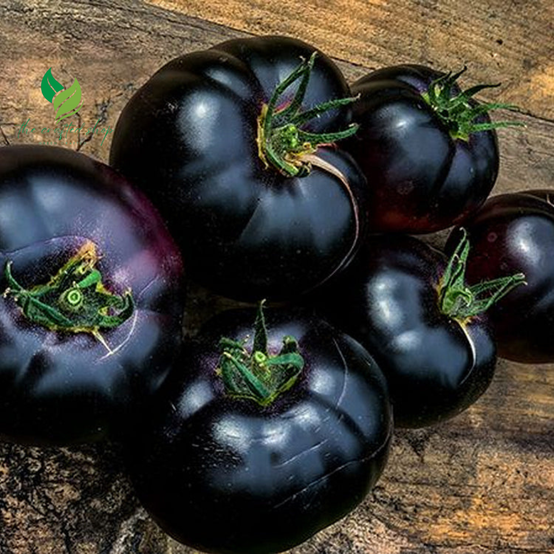 Black Pearl Tomato Seeds