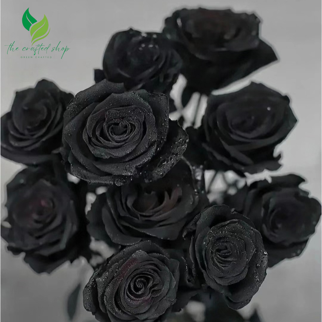 200+ Black Rose Seeds Rose Seeds Home Garden Flower Plant