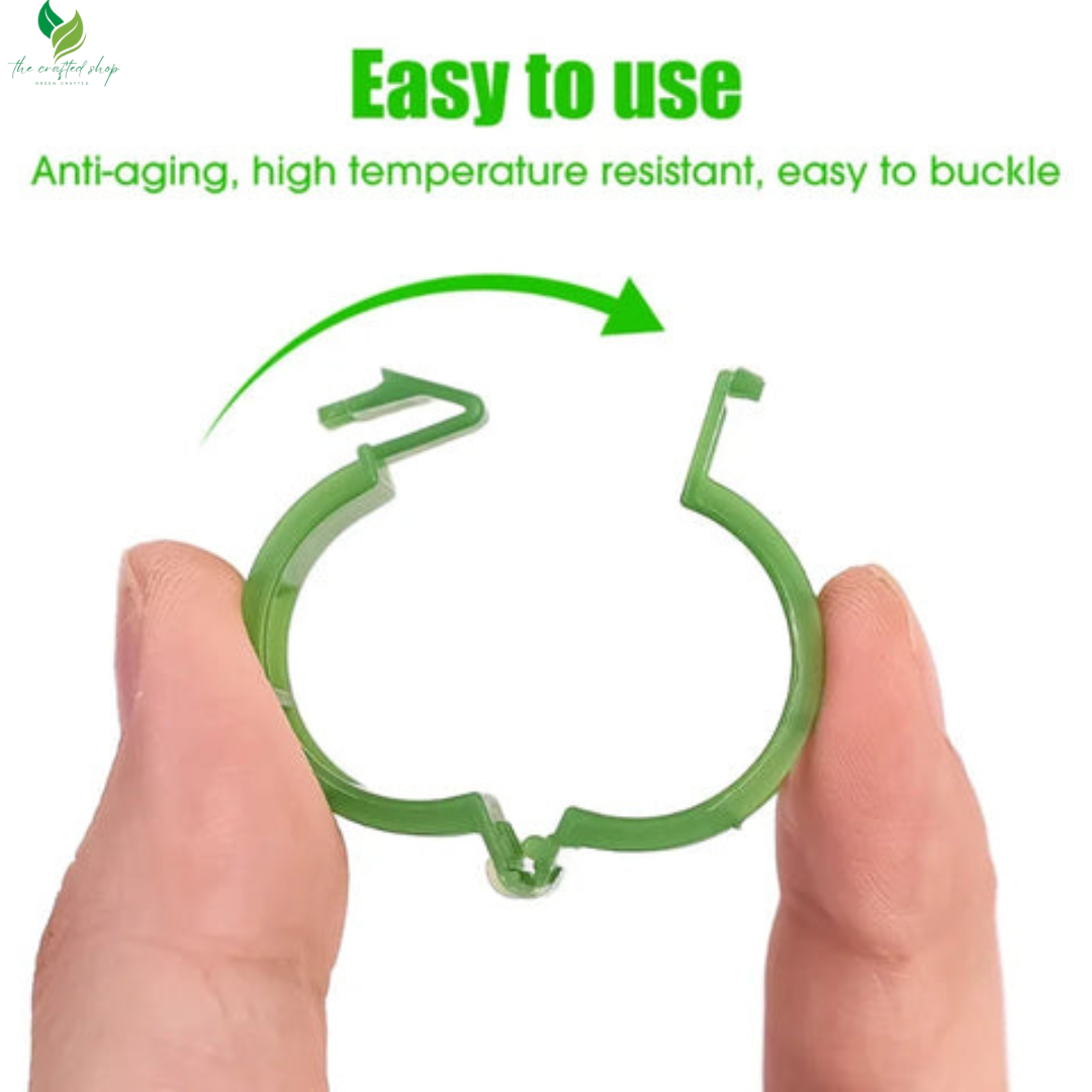 Plant Clips Supports EcoPlastic