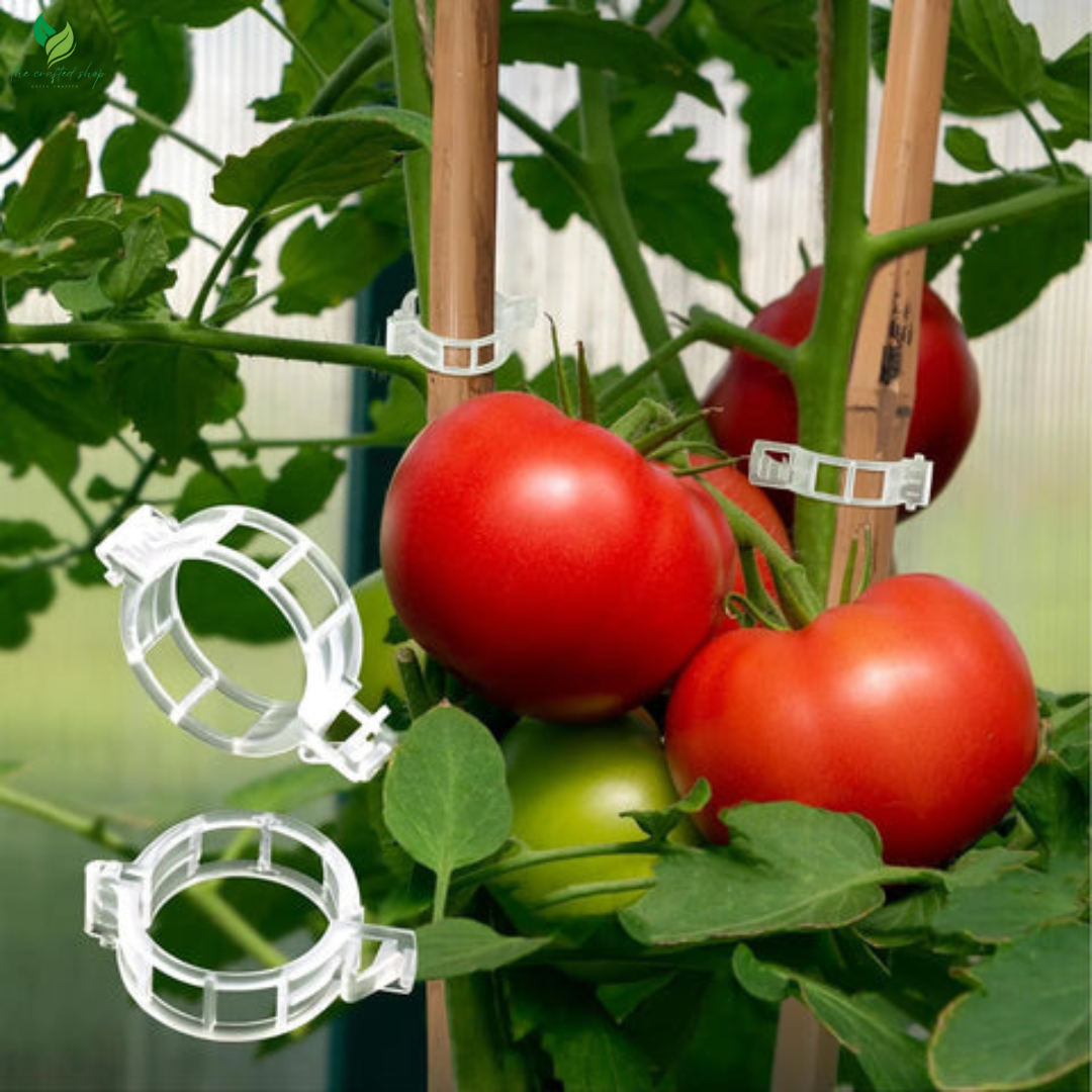 Plant Clips Supports EcoPlastic