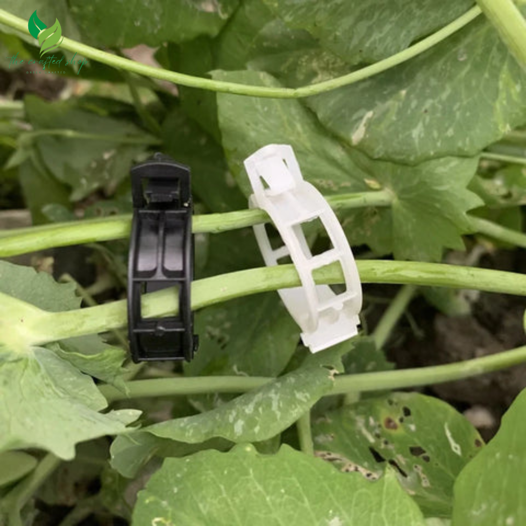 Plant Clips Supports EcoPlastic