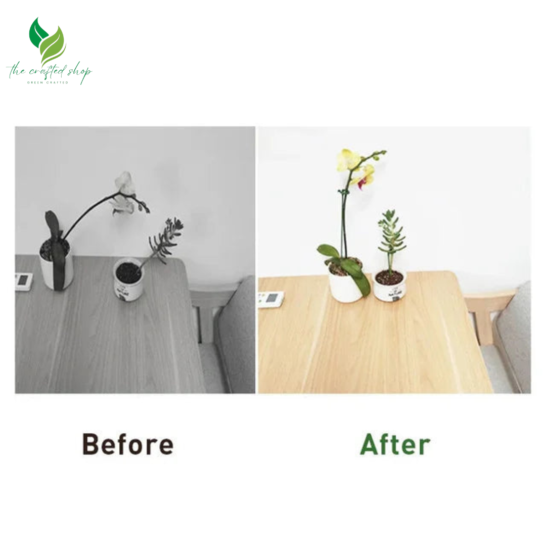 Plant Support Stakes
