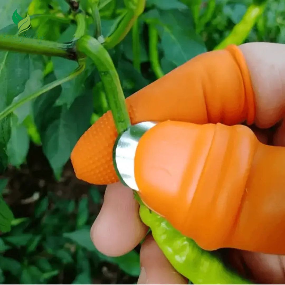Silicone Finger Protector