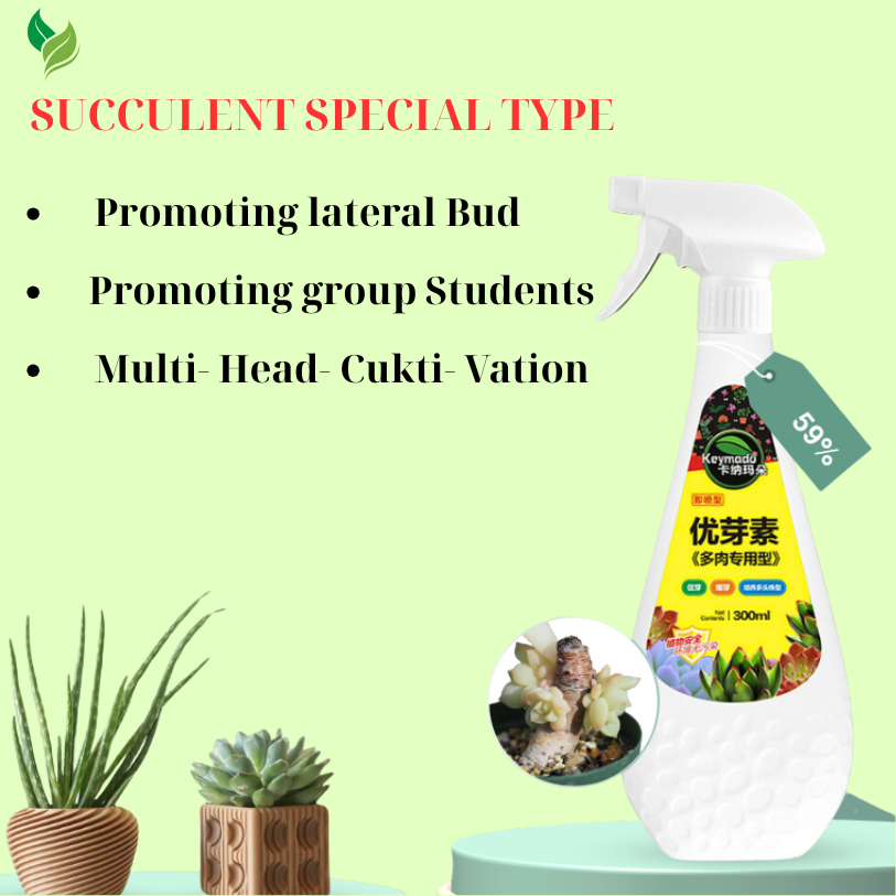 keymado succulent spray Sprouts Booster 300ml – The Crafted Shop