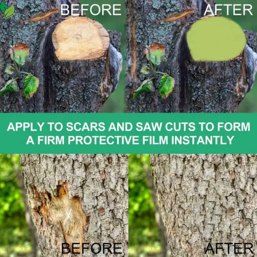 Tree Grafting Paste Tree Wound Bonsai Cut Paste Smear Agent Plant Grafting Pruning Sealer With Brush Bonsai Cut Wound Paste Tree