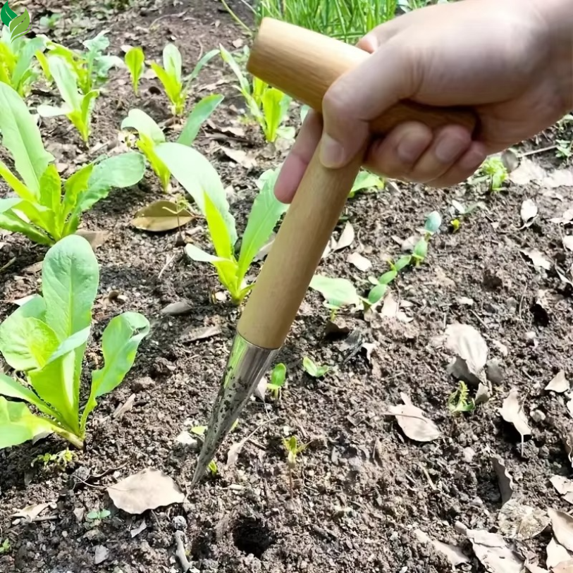 ergonomic wooden handle garden tool