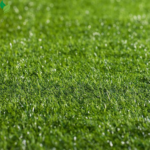 Zoysia Empire Grass Seeds Zoysia Grass Seeds 1/8lb