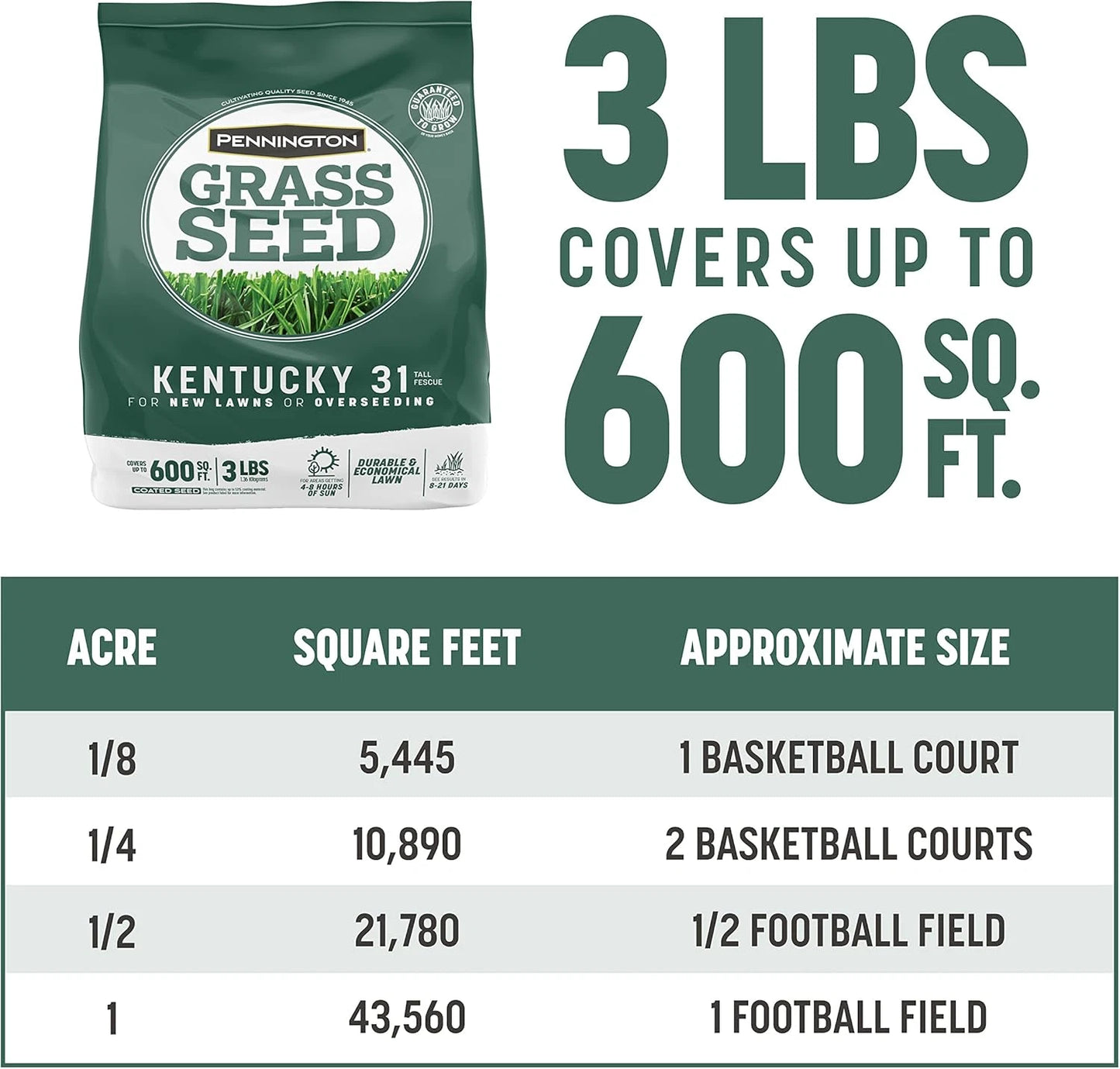 Fescue Grass Seed, 3 lb