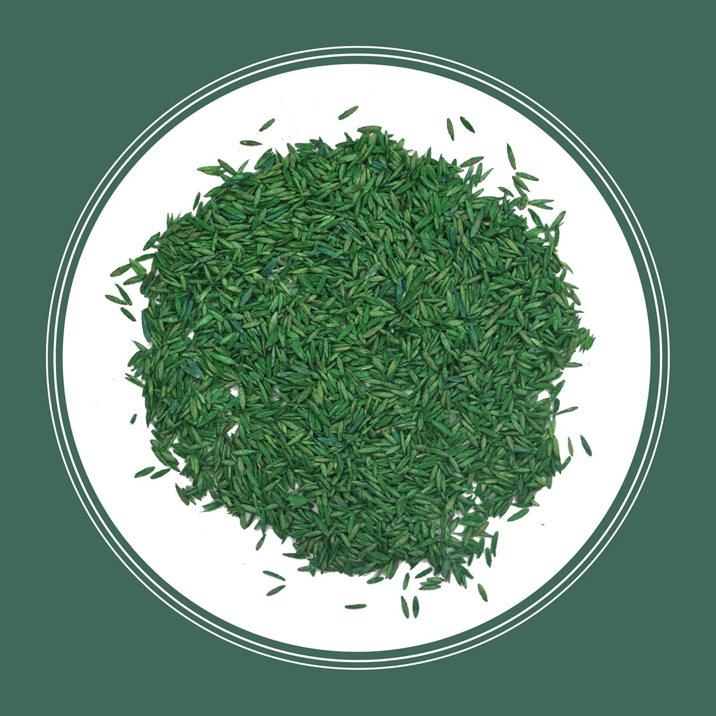 Fescue Grass Seed, 3 lb