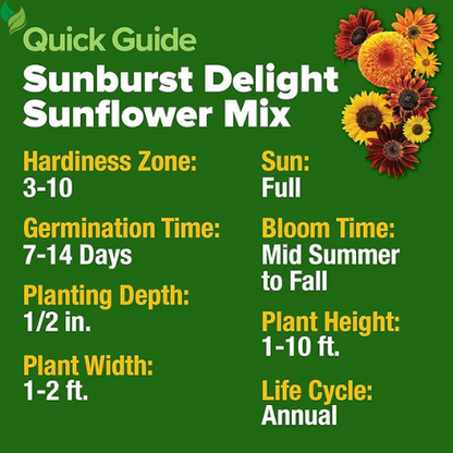1000+ Sunflower Seeds for Planting Heirloom Non-GMO