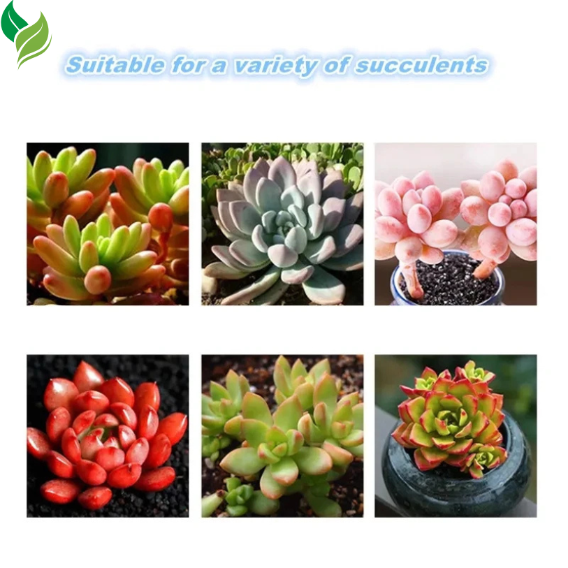 130g Special Controlled Release Fertilizer