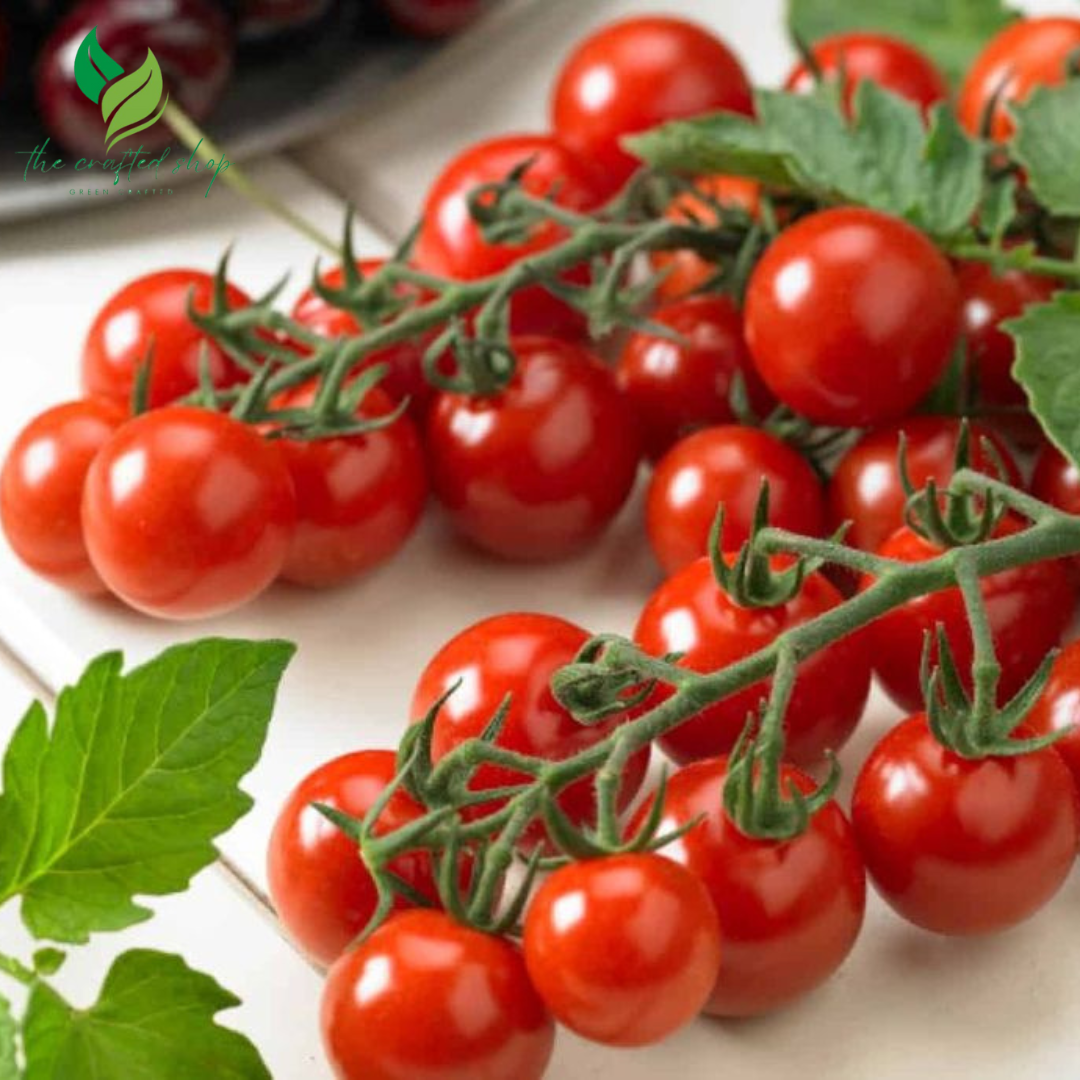 300 Dwaft Cherry Tomato Seeds
