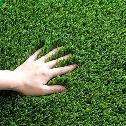 Perennial Ryegrass Seeds for Planting - Premium Quality Rye Grass Seed (1/2 Pound)