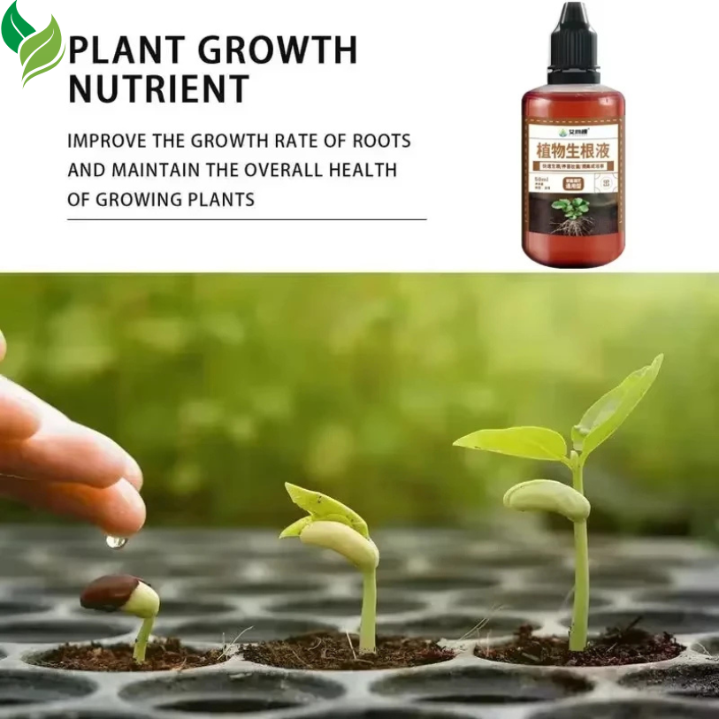 All-in-One Root & Growth Booster