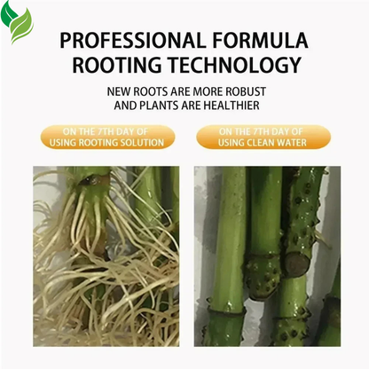 All-in-One Root & Growth Booster