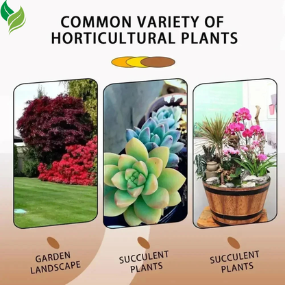 All-in-One Root & Growth Booster