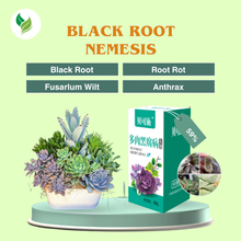 Black Root Nemesis