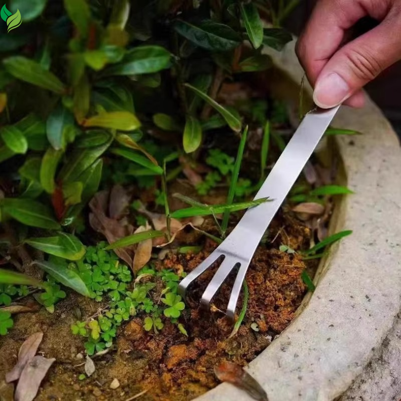bonsai soil care tool in use