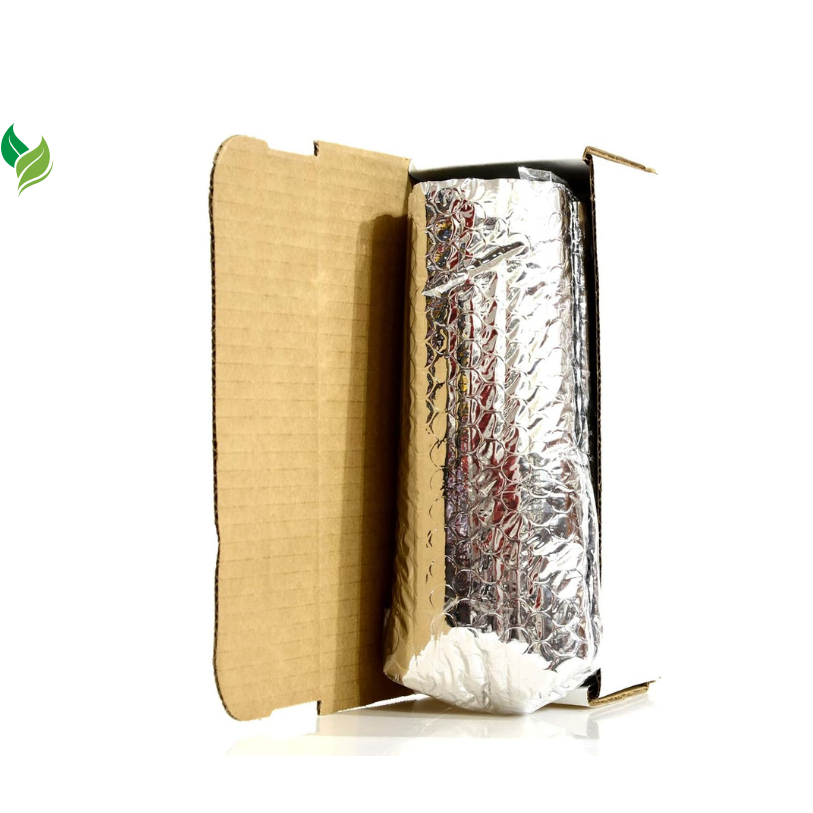 Calamondin Orange Tree Starter Plant. Citrus mitis. 3'' - 5''