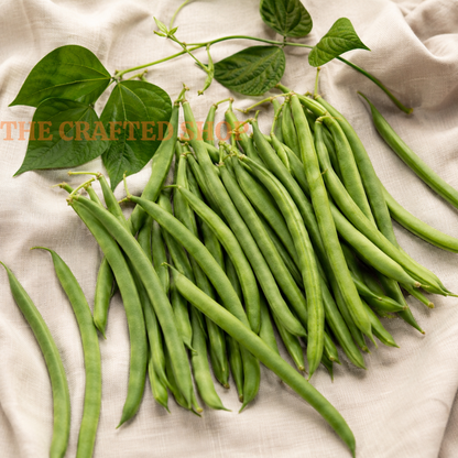 Contender Bush Bean Seeds, 30 Count – Green Garden Beans