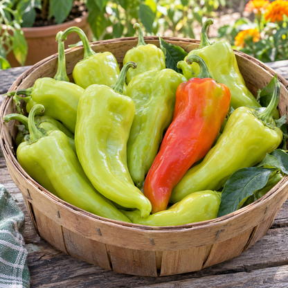 Cubanelle Sweet Pepper Seeds - 25 Seeds
