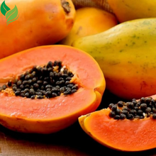 Dwarf Red Lady Papaya Tree – Sweet, Fast-Growing, and Easy to Grow (Live Plant, 3-8 inches Tall)