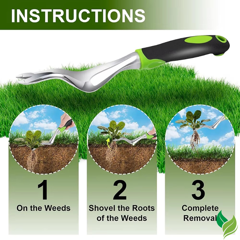 stainless steel weed puller in garden soil