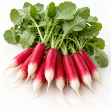 French Breakfast radish slices with butter on toasted baguette