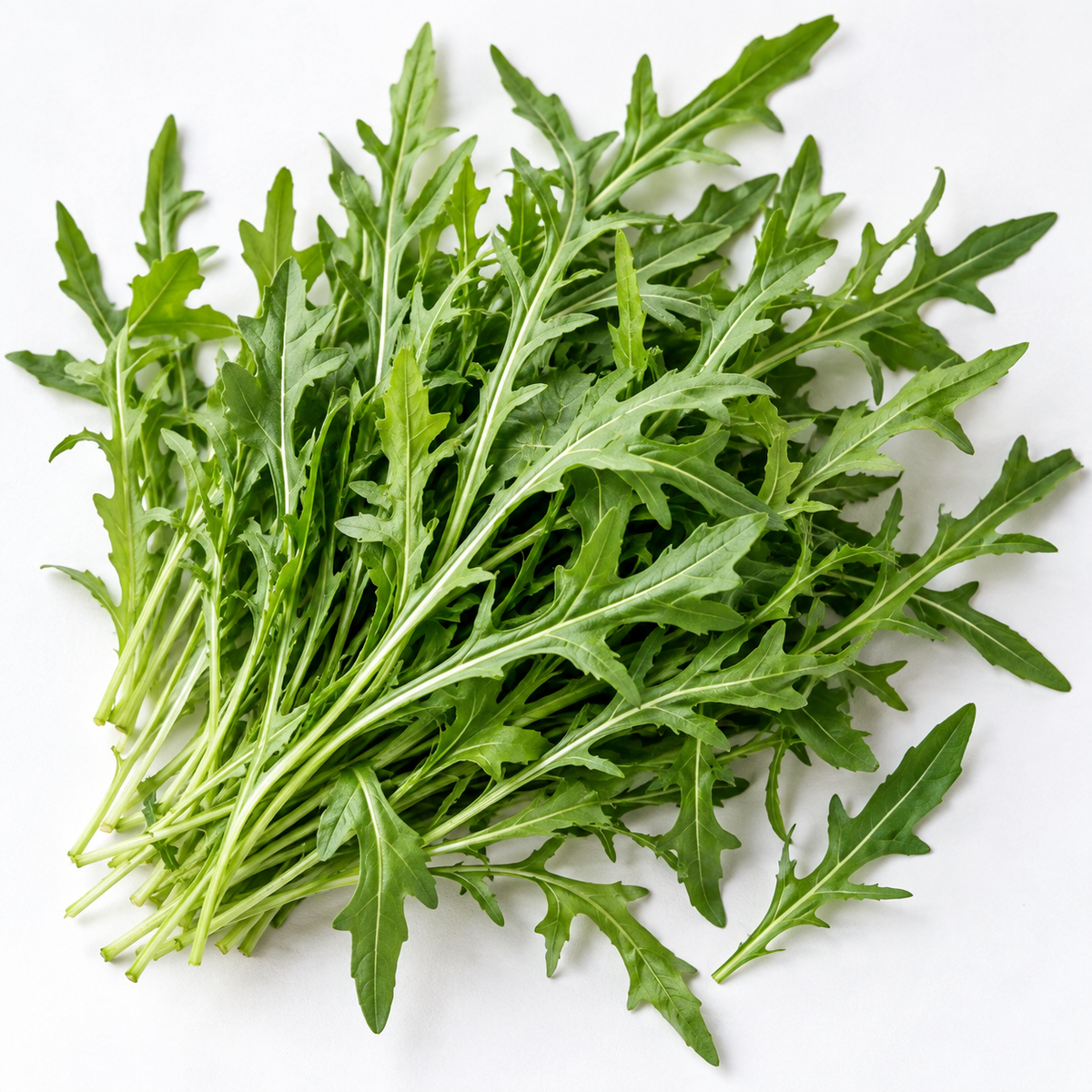 Slow Bolt Wild Rocket arugula growing in a terracotta pot on a wooden patio table.