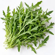 Slow Bolt Wild Rocket arugula growing in a terracotta pot on a wooden patio table.