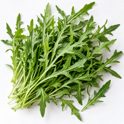 Slow Bolt Wild Rocket arugula growing in a terracotta pot on a wooden patio table.