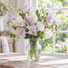 Fresh-cut High Scent Sweet Pea flowers arranged in a clear glass vase