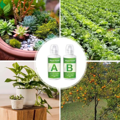 Hydroponic Vegetable Fertilizer | Nutrient Solution for Aeroponic & Greenhouse Plant Growth