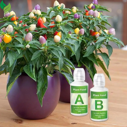 Hydroponic Vegetable Fertilizer | Nutrient Solution for Aeroponic & Greenhouse Plant Growth