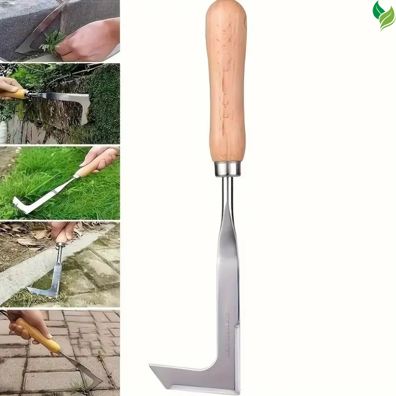 crack weeder tool with wooden handle