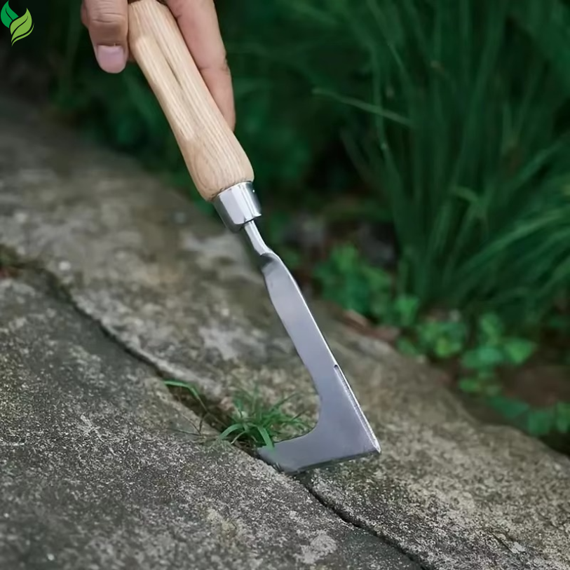 stainless steel weed remover for paving stones