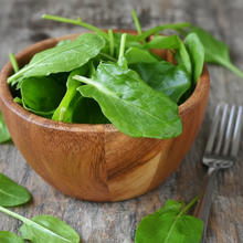 Large Leaf Sorrel Herb Seeds – Heirloom Perennial Garden Green for Fresh Salads & Cooking