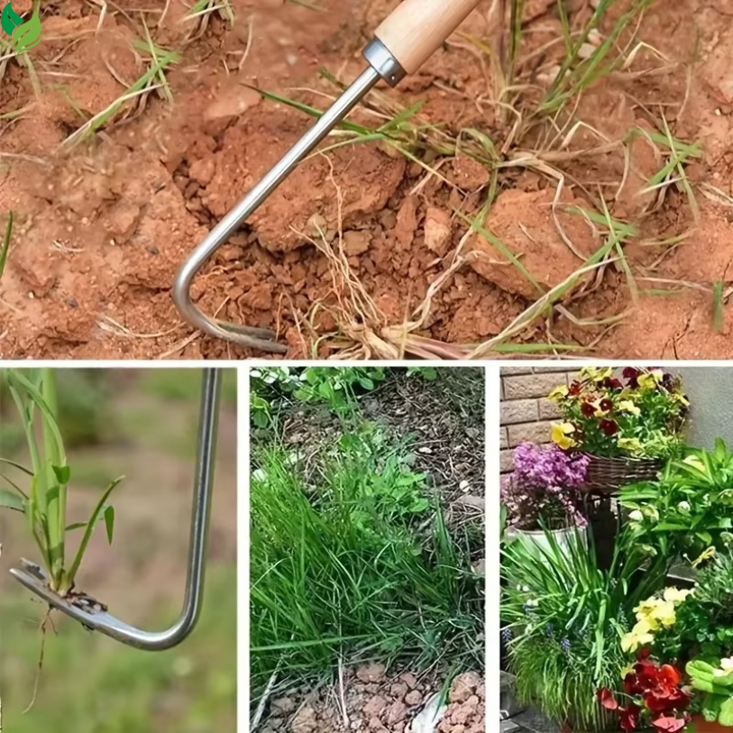 stainless steel hand weeder in soil