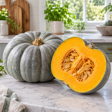 Mature blue-gray Jarrahdale pumpkins ready for harvest