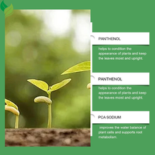 MoonSpry Liquid Fertilizer for Indoor Plants