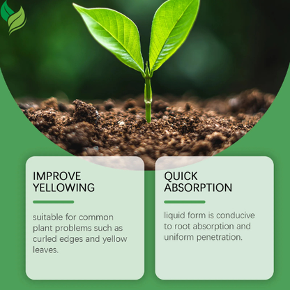 MoonSpry Liquid Fertilizer for Indoor Plants