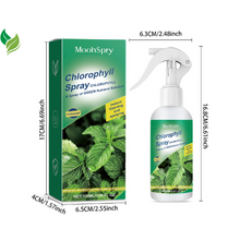 Moonspry 100ml Chlorophyll Spray For Flower Grass Fruit Tree Plant Nutrient