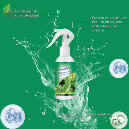 Moonspry 100ml Chlorophyll Spray For Flower Grass Fruit Tree Plant Nutrient