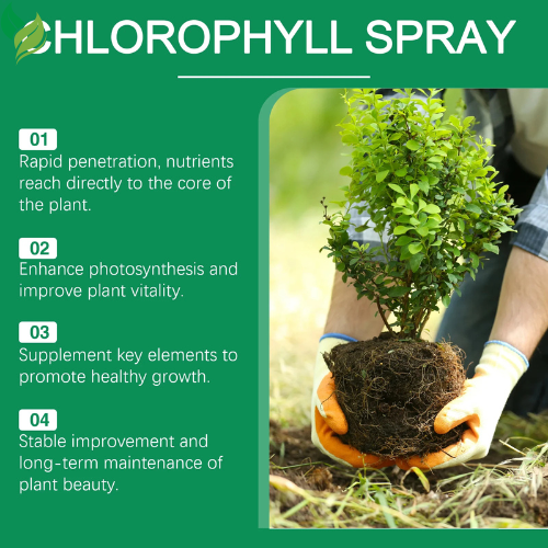 Moonspry 100ml Chlorophyll Spray For Flower Grass Fruit Tree Plant Nutrient