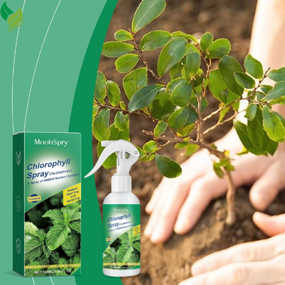 Moonspry 100ml Chlorophyll Spray For Flower Grass Fruit Tree Plant Nutrient