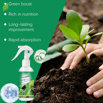 Moonspry 100ml Chlorophyll Spray For Flower Grass Fruit Tree Plant Nutrient