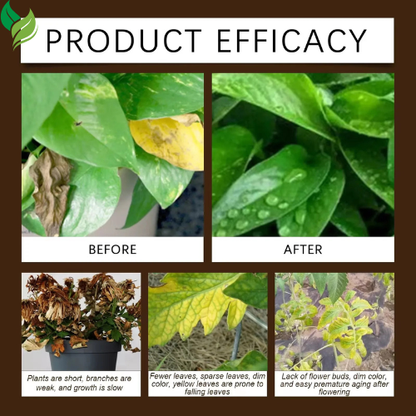 Organic Soil Softener & Activator | Improve Potting Soil for Healthier Plants & Flowers