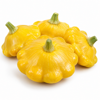 Organic Yellow Bush Scallop summer squash growing on a healthy bush plant in a raised garden bed